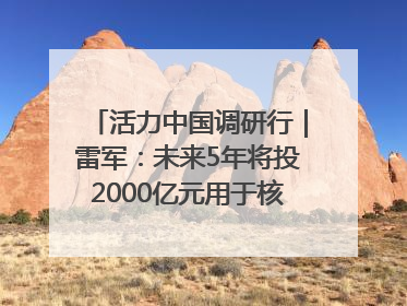 活力中国调研行｜雷军：未来5年将投2000亿元用于核心技术研发