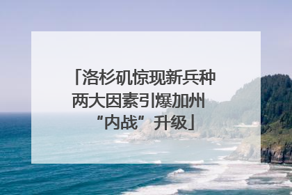 洛杉矶惊现新兵种 两大因素引爆加州“内战”升级