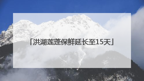 洪湖莲蓬保鲜延长至15天
