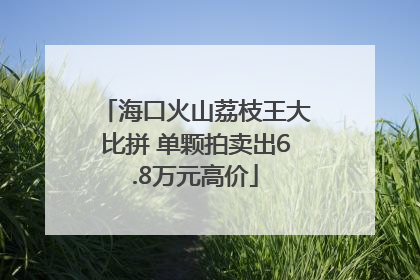 海口火山荔枝王大比拼 单颗拍卖出6.8万元高价