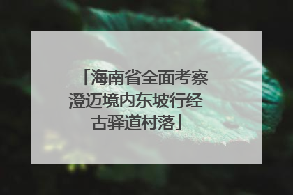 海南省全面考察澄迈境内东坡行经古驿道村落