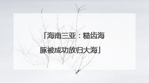 海南三亚：糙齿海豚被成功放归大海