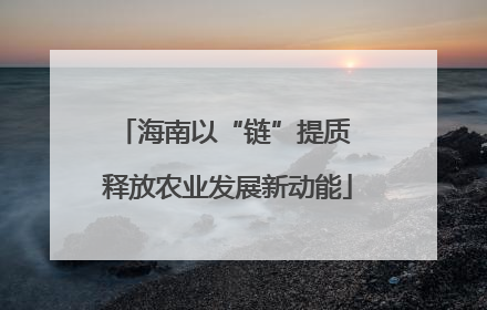 海南以“链”提质 释放农业发展新动能
