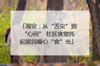 海安：从“舌尖”到“心间” 社区食堂托起居民暖心“食”光