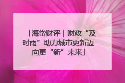 海岱财评｜财政“及时雨”助力城市更新迈向更“新”未来