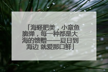 海蛏肥美，小章鱼脆弹，每一种都是大海的馈赠——夏日到海边 就爱那口鲜