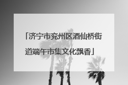 济宁市兖州区酒仙桥街道端午市集文化飘香