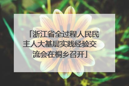浙江省全过程人民民主人大基层实践经验交流会在桐乡召开