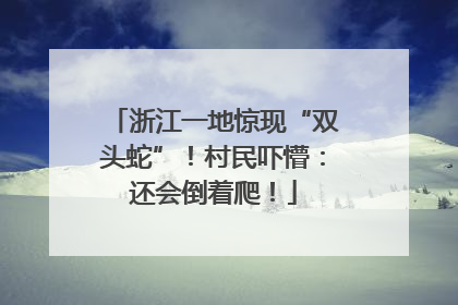 浙江一地惊现“双头蛇”！村民吓懵：还会倒着爬！