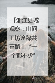 浙江县域观察：山间工坊诠释共富路上“一个都不少”