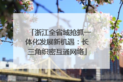 浙江全省域抢抓一体化发展新机遇：长三角织密互通网络