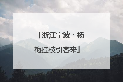 浙江宁波：杨梅挂枝引客来
