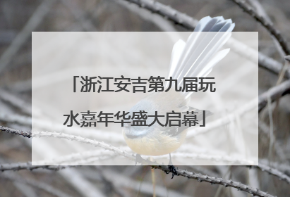 浙江安吉第九届玩水嘉年华盛大启幕