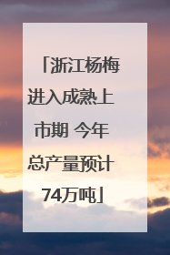 浙江杨梅进入成熟上市期 今年总产量预计74万吨
