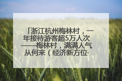浙江杭州梅林村，一年接待游客超5万人次——梅林村，满满人气从何来（经济新方位·农村消费观察）