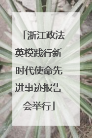 浙江政法英模践行新时代使命先进事迹报告会举行