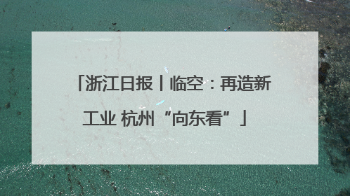 浙江日报丨临空：再造新工业 杭州“向东看”