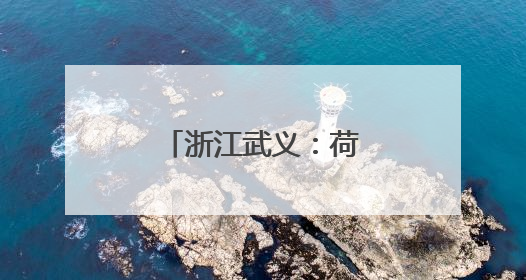 浙江武义：荷花产业助致富