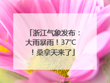 浙江气象发布：大雨暴雨！37℃！桑拿天来了