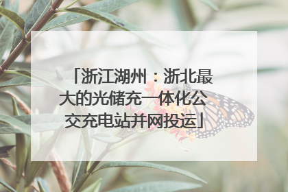浙江湖州：浙北最大的光储充一体化公交充电站并网投运