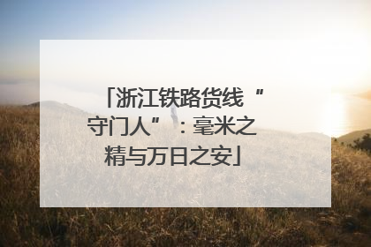 浙江铁路货线“守门人”：毫米之精与万日之安