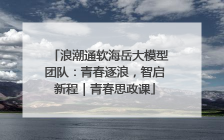 浪潮通软海岳大模型团队：青春逐浪，智启新程｜青春思政课