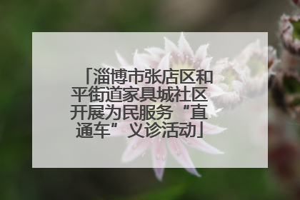 淄博市张店区和平街道家具城社区开展为民服务“直通车”义诊活动
