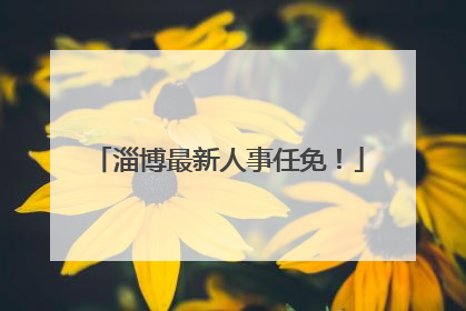 淄博最新人事任免！
