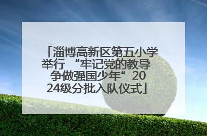 淄博高新区第五小学举行 “牢记党的教导 争做强国少年”2024级分批入队仪式