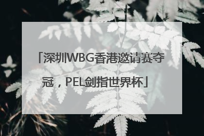 深圳WBG香港邀请赛夺冠，PEL剑指世界杯