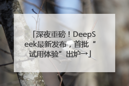 深夜重磅！DeepSeek最新发布，首批“试用体验”出炉→