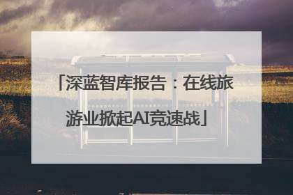 深蓝智库报告：在线旅游业掀起AI竞速战