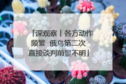 深观察丨各方动作频繁  俄乌第二次直接谈判前景不明