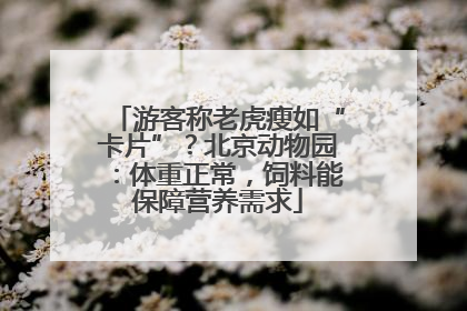 游客称老虎瘦如“卡片”？北京动物园：体重正常，饲料能保障营养需求