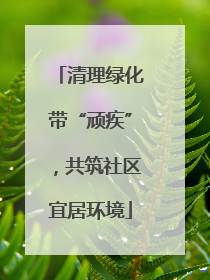 清理绿化带“顽疾”，共筑社区宜居环境