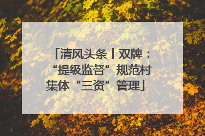 清风头条丨双牌：“提级监督”规范村集体“三资”管理