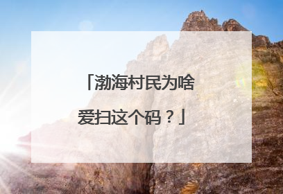 渤海村民为啥爱扫这个码？