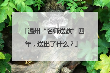 温州“名师送教”四年，送出了什么？