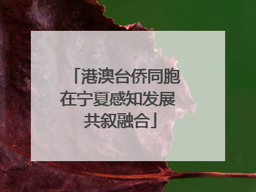 港澳台侨同胞在宁夏感知发展 共叙融合