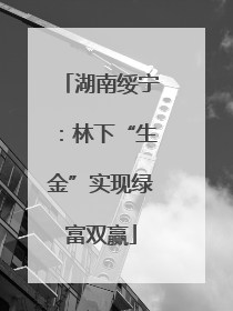 湖南绥宁：林下“生金”实现绿富双赢