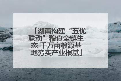 湖南构建“五优联动”粮食全链生态 千万亩粮源基地夯实产业根基