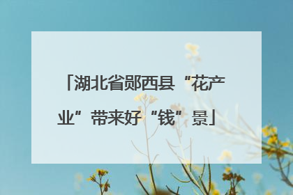 湖北省郧西县“花产业”带来好“钱”景
