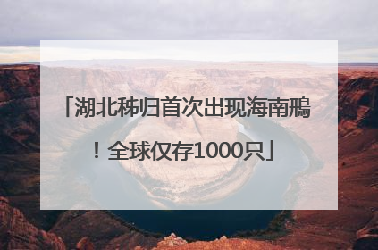 湖北秭归首次出现海南鳽！全球仅存1000只