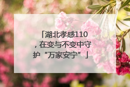 湖北孝感110，在变与不变中守护“万家安宁”