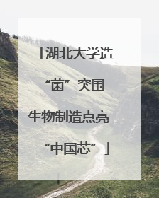 湖北大学造“菌”突围 生物制造点亮“中国芯”
