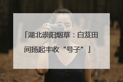 湖北崇阳烟草：白芨田间扬起丰收“号子”
