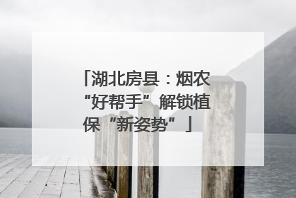 湖北房县：烟农“好帮手”解锁植保“新姿势”