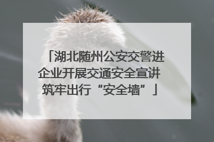 湖北随州公安交警进企业开展交通安全宣讲筑牢出行“安全墙”