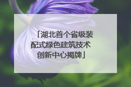 湖北首个省级装配式绿色建筑技术创新中心揭牌