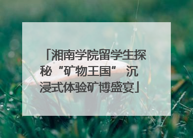 湘南学院留学生探秘“矿物王国” 沉浸式体验矿博盛宴